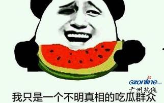 吃瓜群众的娱乐事,吃瓜群众眼中的明星八卦盛宴