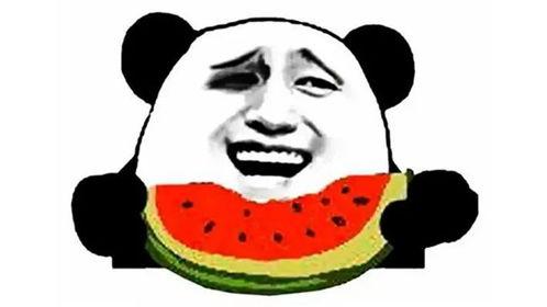 娱乐吃瓜酱努力生活,在追逐娱乐热点中努力生活的点滴