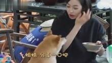 娱乐八卦吃瓜 百家号是真的吗吗